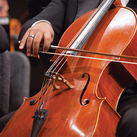 Up close photo of a cello
