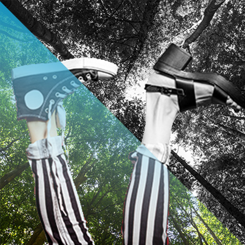Two legs up in the air, one with a sneaker shoe and the other with a small heel, with the background being a view looking up at the canopy in a forest