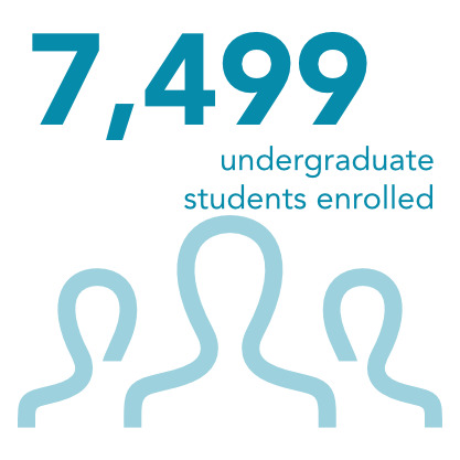 7,177 undergraduate students enrolled