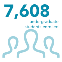 7,499 undergraduate students enrolled
