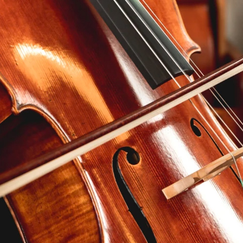 close up of a cello 