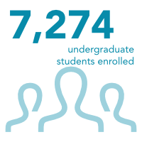 7,499 undergraduate students enrolled