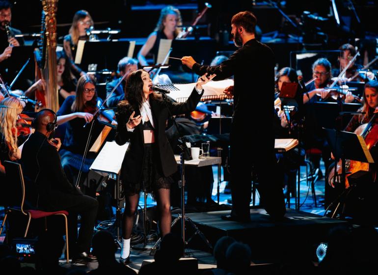 St. Vincent orchestra