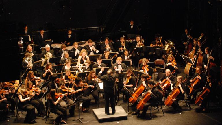 Business Manager (Music or Theater Group)