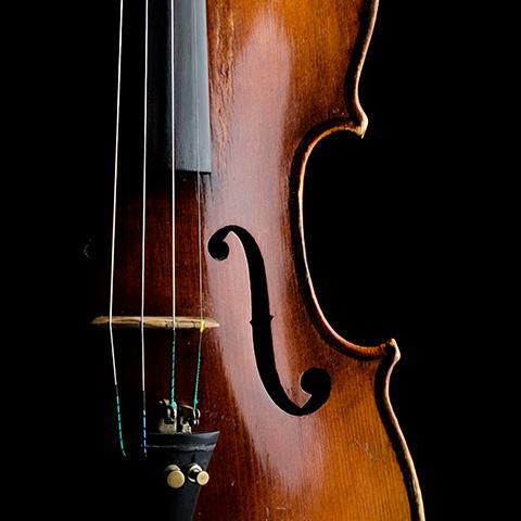 close-up photo of a violin