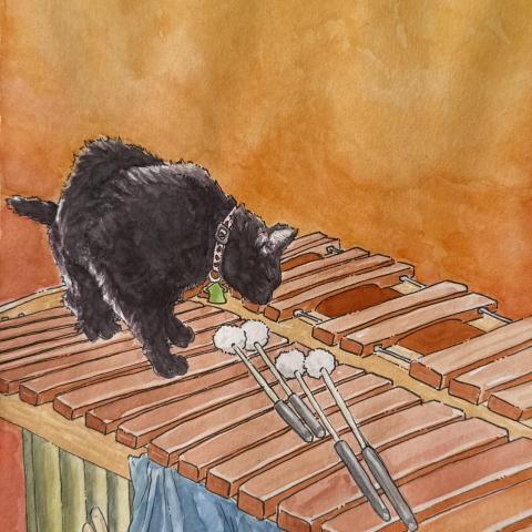 Cat on Marimba