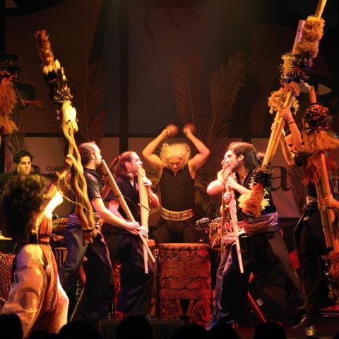 Orchestra of Indigenous Instruments and New Technology