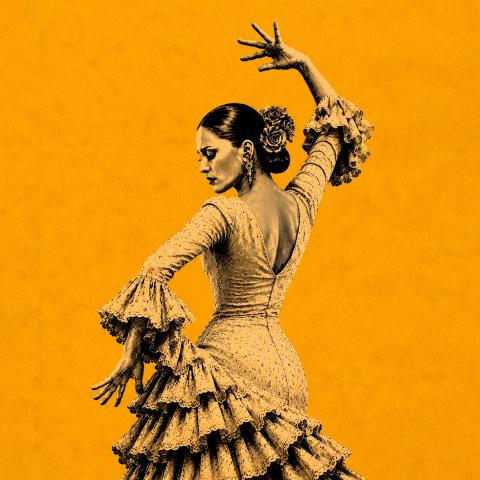 Love Flamenco