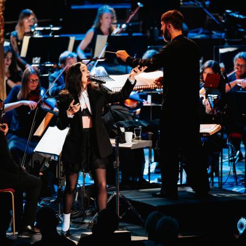 St. Vincent orchestra