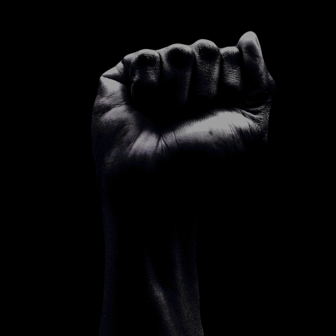 Black Power fist