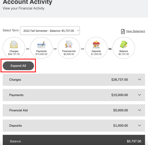 highlighted expand all button for account activity view