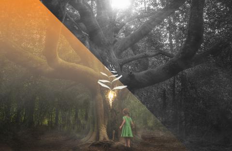 Girl in woods with orange overlay