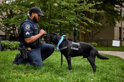 Officer Felix Vicente kneels on the grass to interact with Barklee, a black labrador retriever