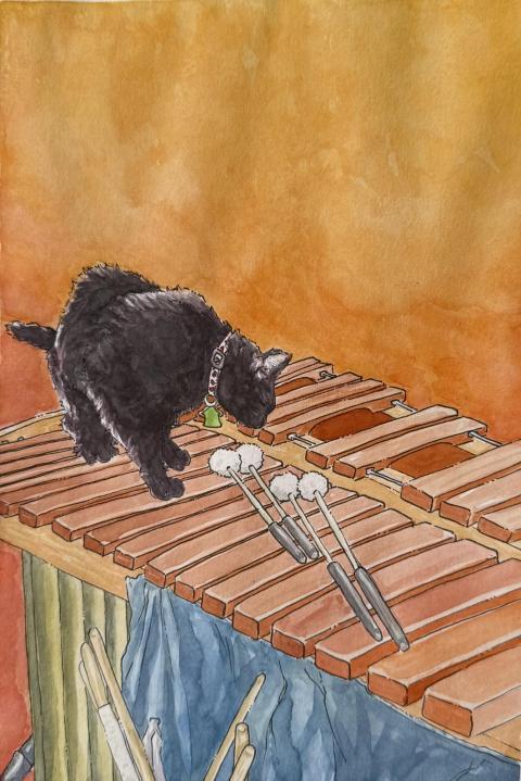 Cat on Marimba