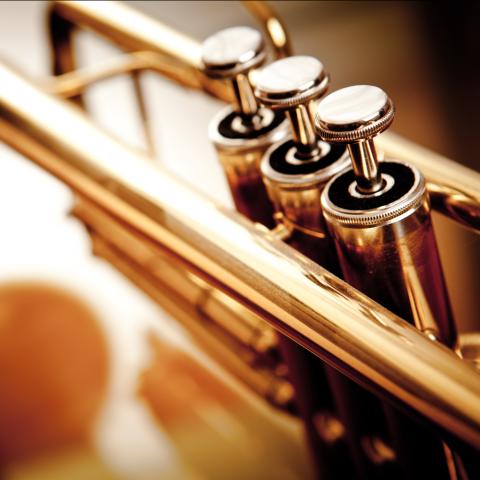 Close up on a trumpet's valves