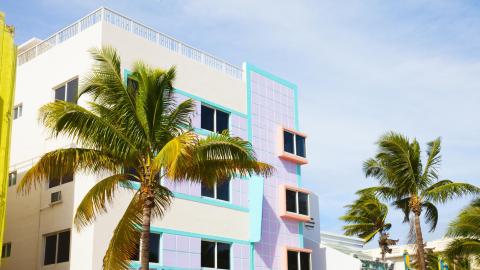Palm trees in front of a pastel building in Miami