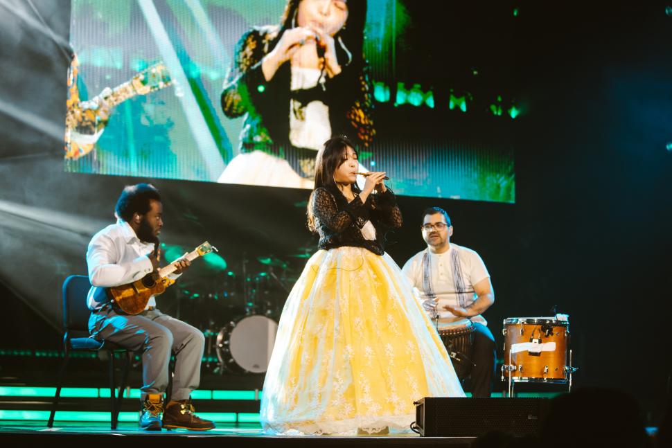 concert performance
